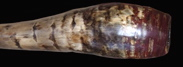 Folded Bell